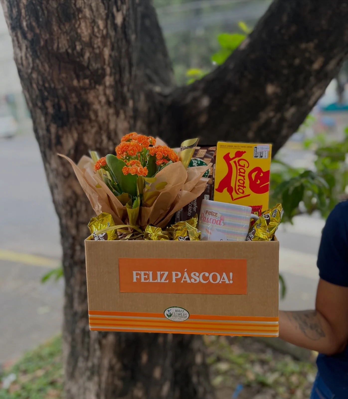 Publicação oficial da Maxx Flowers